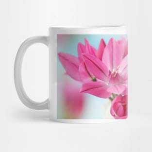 Allium oreophilum  Mountain lover  Pink lily leek  allium ostrowskianum Mug